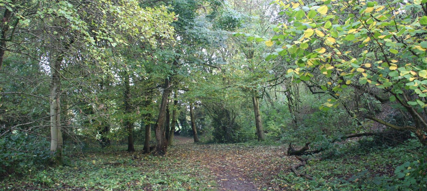 Humberstone Park, Leicester NatureSpot